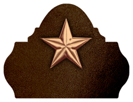 DARAY L 430 CP BK Star Copper Black